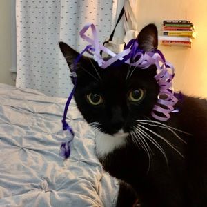 Meet your Posher, Heidi